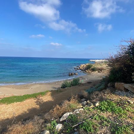 Olive Tree Villa - Protaras Eksteriør billede