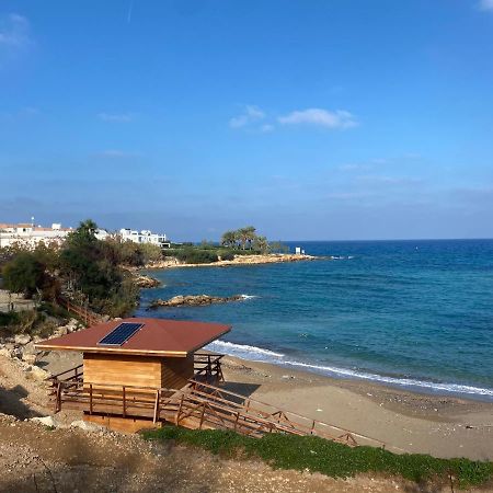 Olive Tree Villa - Protaras Eksteriør billede