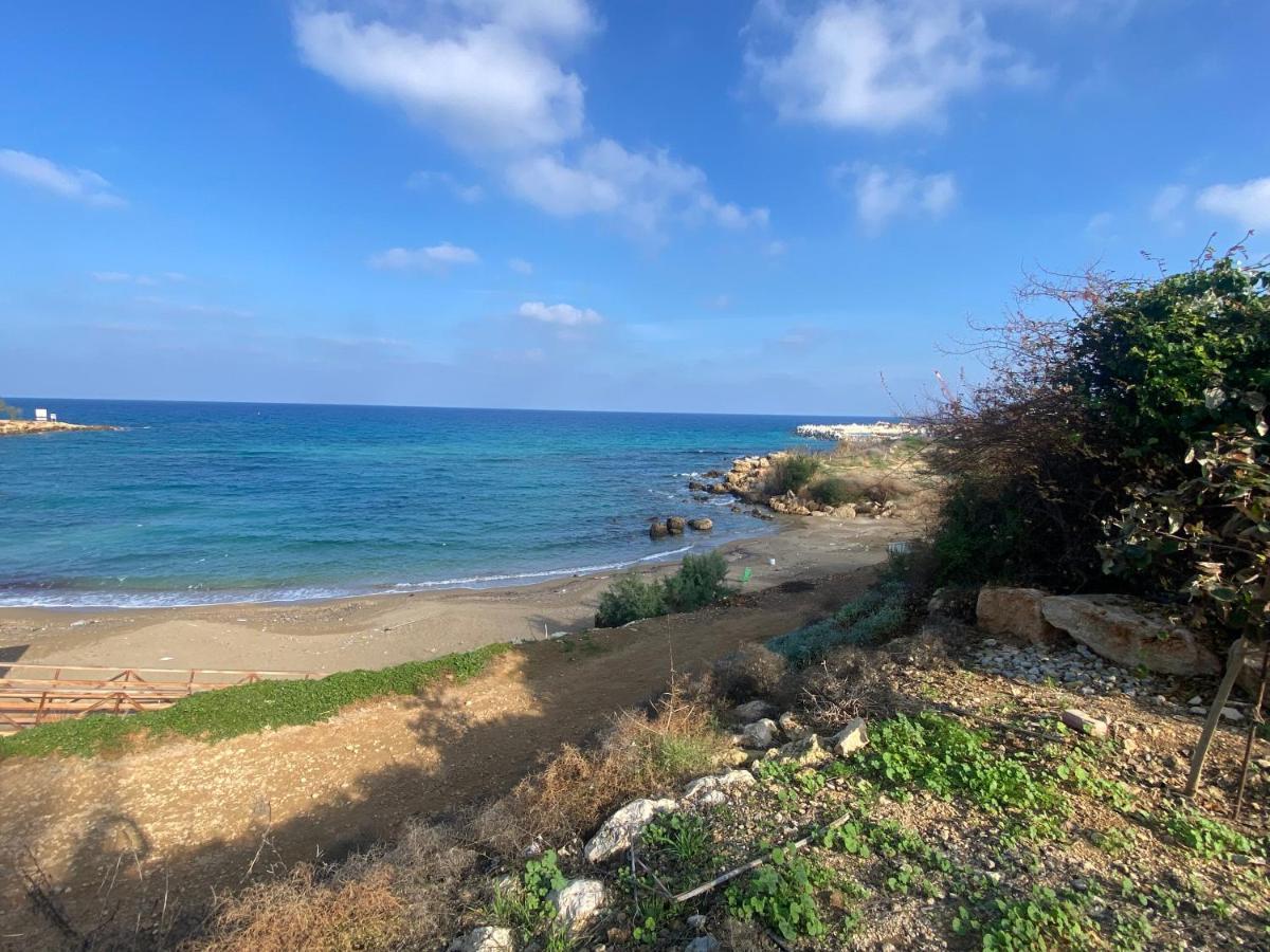 Olive Tree Villa - Protaras Eksteriør billede