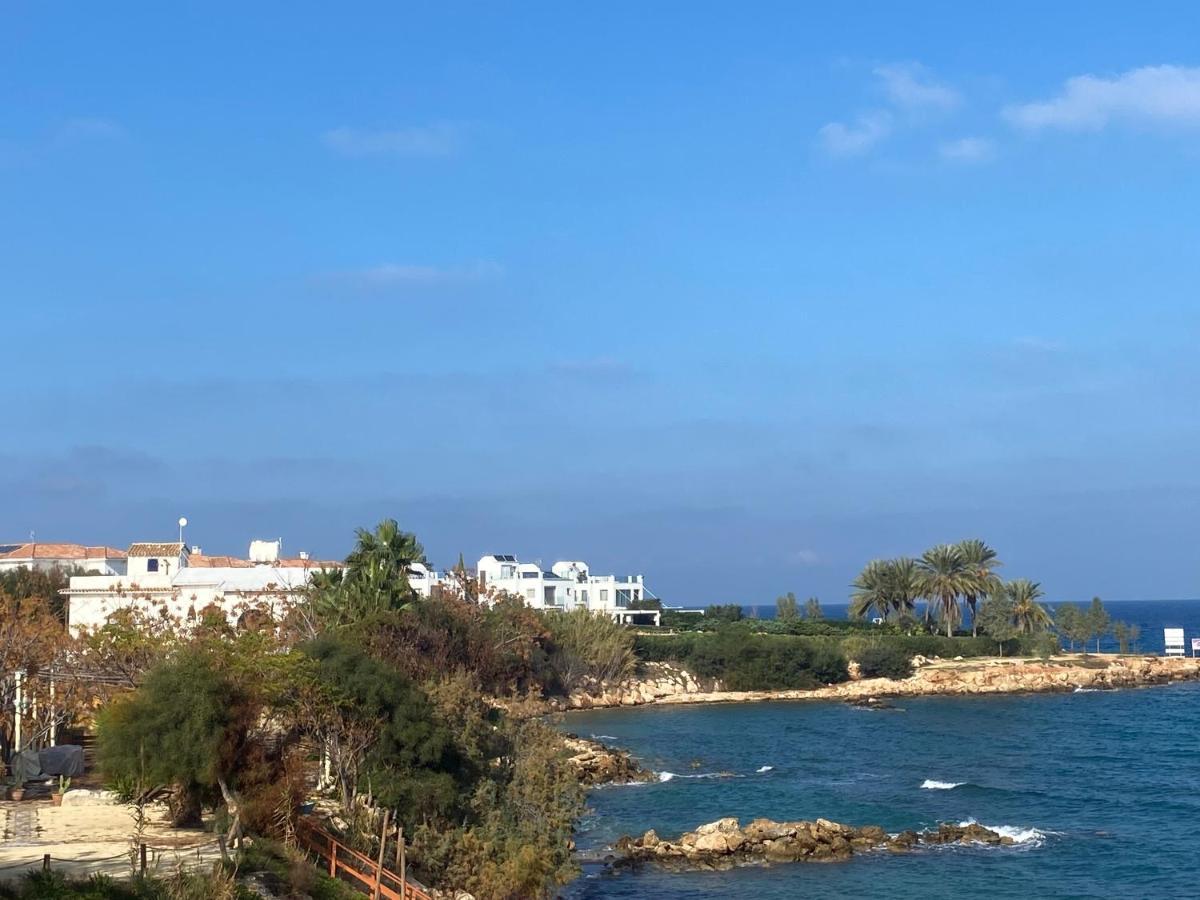 Olive Tree Villa - Protaras Eksteriør billede